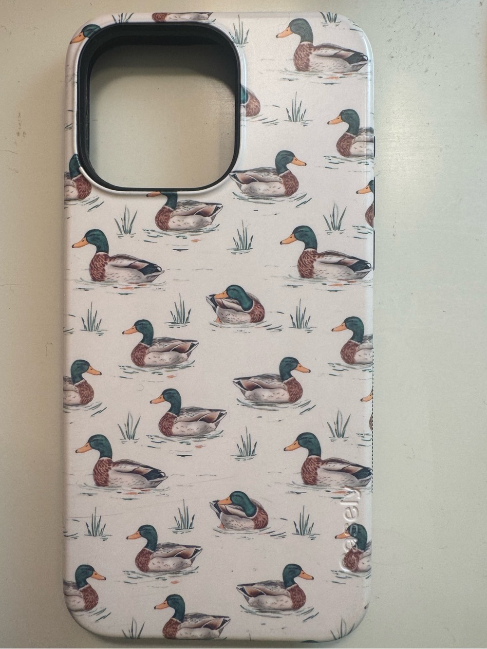 Casely iPhone 15 Pro Max Case
